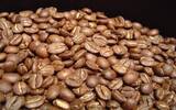 庄园咖啡的概念的兴起，与单品咖啡的区别