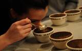 咖啡气味用语 怎样用语言描述咖啡风味口感