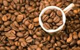 咖啡豆多以生产国或产地或装运港名称为名 巴西山度士咖啡豆来历