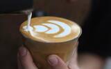 咖啡拉花指南-从零开始学做拉花咖啡 学咖啡拉花大概多少钱