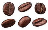 坦桑尼亚的咖啡文化介绍