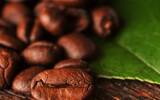 危地马拉精品咖啡豆种类豆单