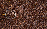 蓝瓶子萨尔瓦多咖啡豆是哪款？萨尔瓦多改革庄园&波波龙处理厂