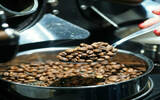 为什么新鲜烘焙的咖啡没那么好 咖啡如何养豆