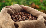 埃塞俄比亚 日晒耶加科契尔G3咖啡风味口感香气描述