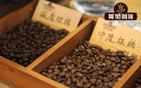 非洲咖啡产地在哪个国家最好 世界三大咖啡产地之非洲咖啡豆产地