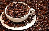 瑰夏精品咖啡豆 闻名天下的艺伎咖啡