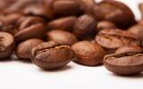 咖啡世界地图——巴西咖啡起源发展风味与品种
