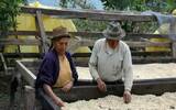 危地马拉咖啡产区微微特南果之基督山庄园EP水洗波旁卡度拉C.O.E.