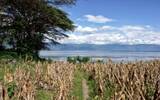 危地马拉火山咖啡区阿蒂特兰湖产区 艾提兰湖 Lago de Atitlán