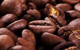 最常见的11种咖啡豆种