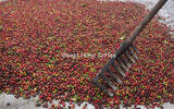 坦桑尼亚AA TARIME区咖啡豆风味口感香气描述