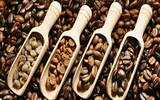 哥斯达黎加蜜处理咖啡的黄蜜、红蜜和黑蜜在风味上有什么区别？