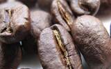 肯尼亚GETHUMBWINI庄园的咖啡适合什么烘焙程度、风味介绍