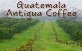危地马拉 拉米尼塔 花神（Guatemala La Minita La Folie）咖啡