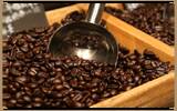 肯尼亚冽里产区AA卡罗歌托精品咖啡豆种植情况地理位置气候海拔