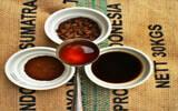 印尼精品咖啡豆托那加Toraja产区咖啡种植情况历史故事风味特征