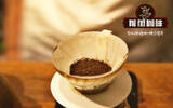 铁皮卡咖啡豆品鉴报告 铁皮卡Typica与波旁Bourbon的区别