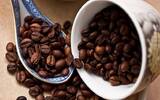 风味评价并不好的罗布斯塔咖啡品种为什么能再全世界流行