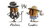 阿拉比卡与罗布斯塔的不同 肯德基阿拉比卡咖啡豆是什么意思？