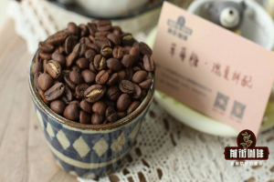 做冰滴怎么挑豆子？教你看懂包装风味词，这几款滴出来超级清爽
