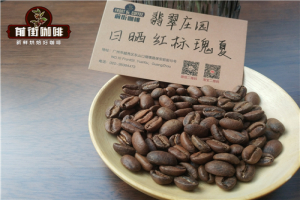 深烘豆的务实之选：从摩卡壶到手冲的适配逻辑
