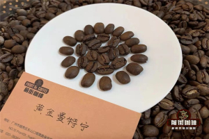精品咖啡店选 SOE，单一产区的豆从哪里挑