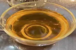 种植兰贵人茶怎么养护？种植兰贵人茶需要人工栽培吗