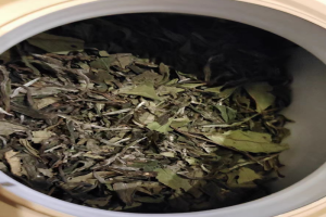 白茶哪里产的最出名？白大师白茶怎么样