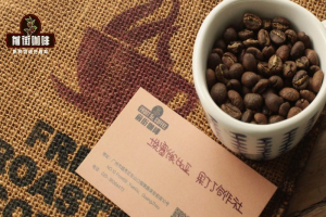 比乐蒂摩卡壶怎么挑豆子？看懂包装上的风味词，选豆其实超级简单