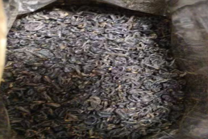 历口祁门红茶谁家最好？历口红茶的特点