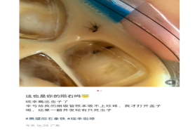 上热搜！消费者称在东莞瑞幸门店饮品中喝出虫！