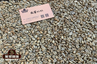专业玩家看手冲咖啡，从杯中表现反推选豆