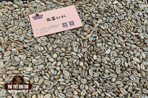 专业玩家看手冲咖啡，从杯中表现反推选豆