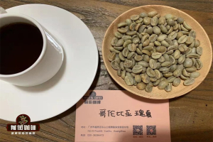 双杯对比教你喝懂埃塞豆！在家自测花果香与甜感其实超简单