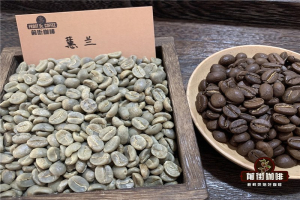 摩卡壶咖啡选豆：从杯中酸甜苦找到日常好风味
