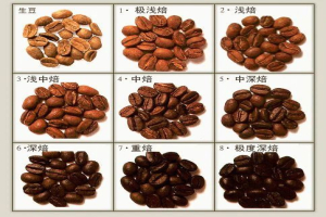 每天那杯美式怎么挑才省心？看准预算选豆子让浓缩兑出丰满果香