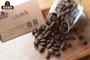 拉高两度水温，咖啡杯里的莓果酸甜会跳得更明亮