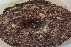 绿雪芽和品品香哪个好？品品香和绿雪芽哪个性价比高
