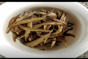 白毫龙珠和白毫银针是一样的吗?白毫龙珠是什么茶种