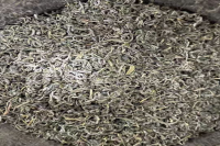 高山云雾茶是绿茶吗？哪个牌子高山云雾茶好喝