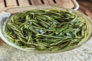 白茶哪个品种最好？极白白茶和芳羽白茶哪个质量好
