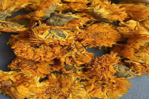 金盏花茶什么人不能喝？金盏花茶哪个品牌好喝