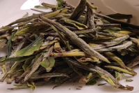长兴紫笋茶是绿茶吗？长兴紫笋茶制作技艺