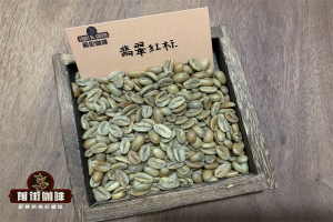 瑰夏为何矜贵：小白入门咖啡必修课