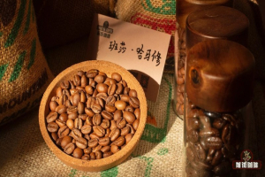 手冲新手买水洗豆，先看这三个坑